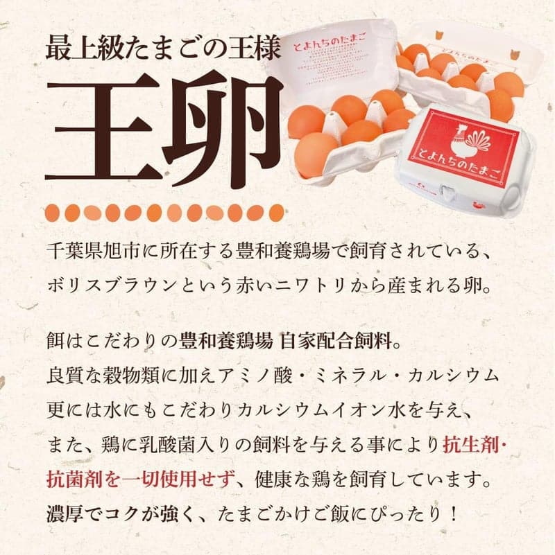 茨城・千葉県産 農家直送 野菜セット 10品目とたまご6個 夏季クール便対応