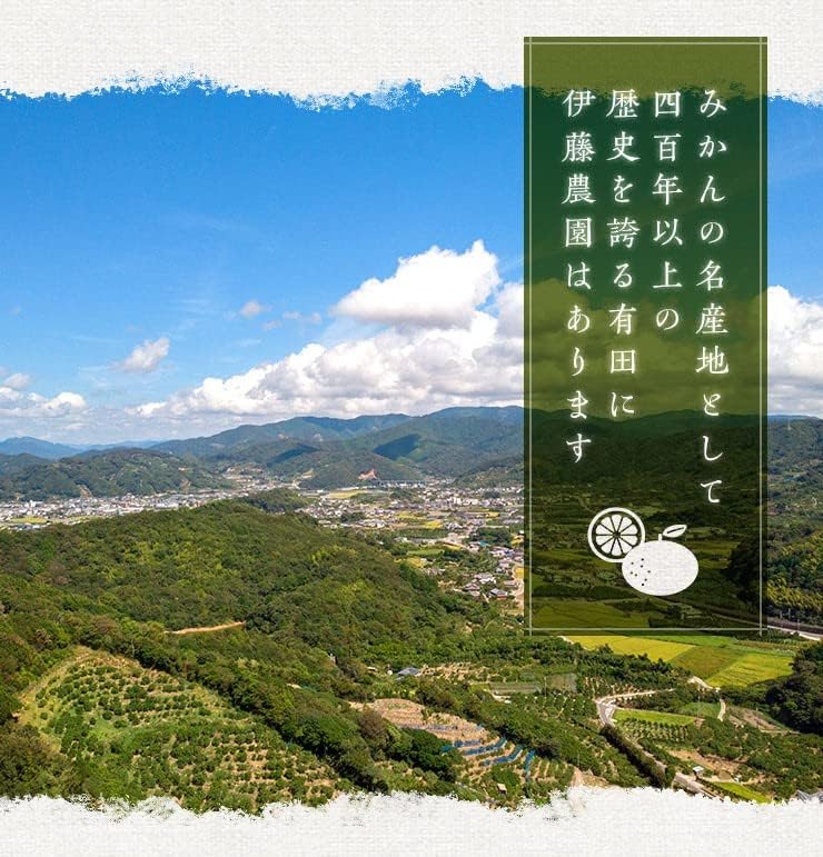 和歌山県産 無添加伊藤農園有田みかんバラエティギフトセット