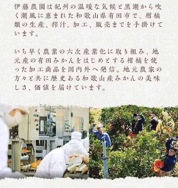和歌山県産 無添加伊藤農園有田みかんバラエティギフトセット
