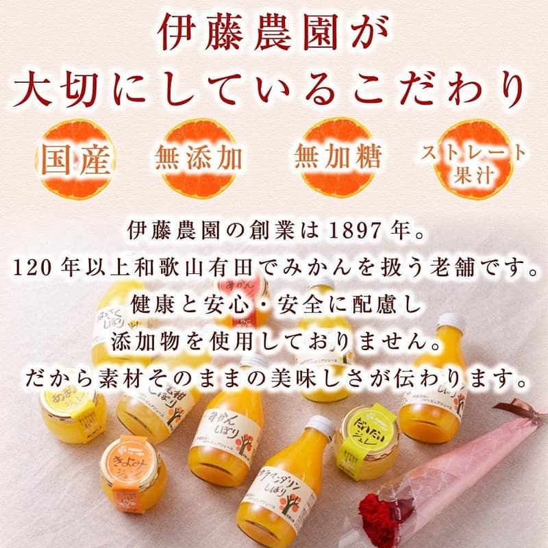 無添加国産オレンジ100%ジュースギフト 180ml×10本セット 內祝用