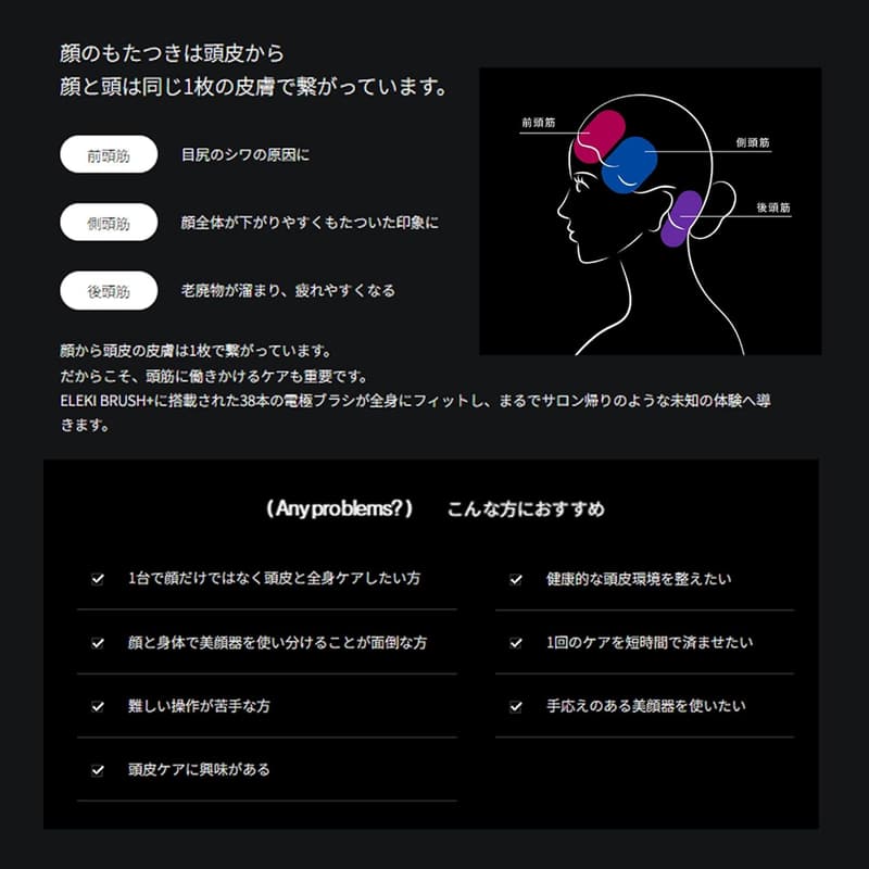 美顔器 EMS フェイスケアセット ブラシ＆ローション付き