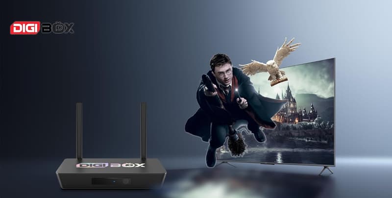 WiFi 6対応 6Kストリーミング Androidスマートテレビボックス D3 Plus