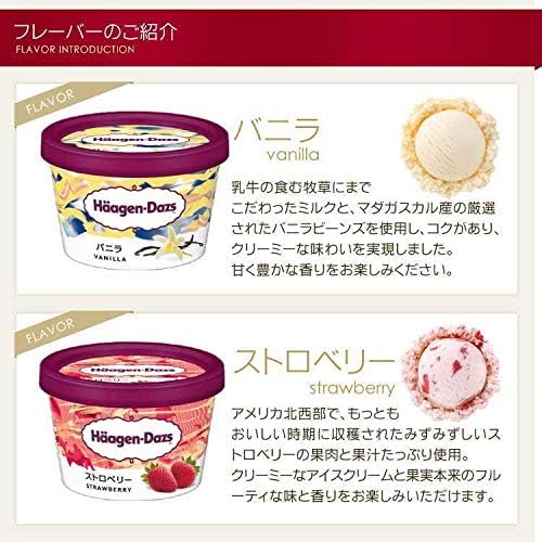 お中元・お歳暮に最適なハーゲンダッツアイスクリーム10個バラエティセット
