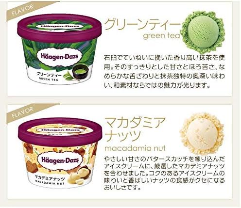 お中元・お歳暮に最適なハーゲンダッツアイスクリーム10個バラエティセット