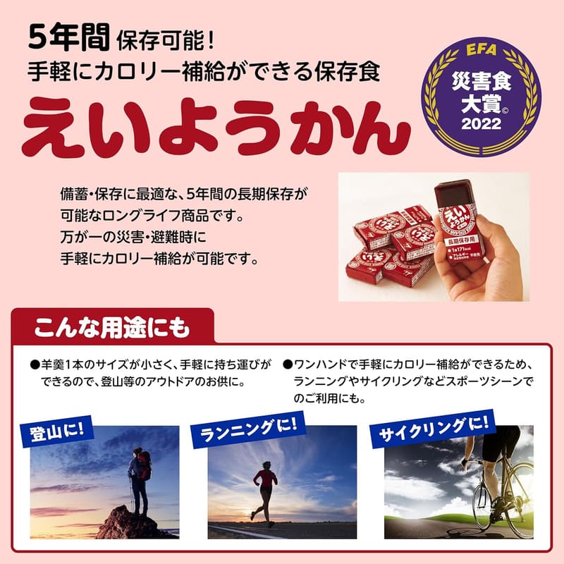 5年間長期保存 えいようかんセット (煉) 60g×5本×4箱