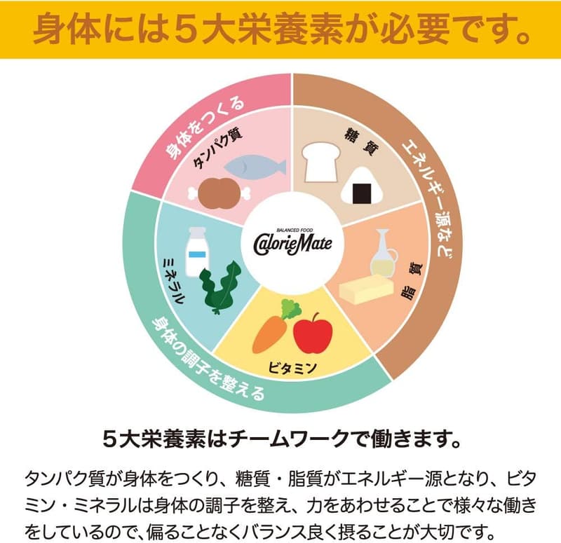 カロリーメイト ブロック チョコレート 40本セット