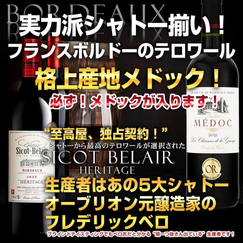 金賞赤ワインセット（ボルドー＆メドック） - 完熟果実味のフルボディ・ミディアムボディ選集