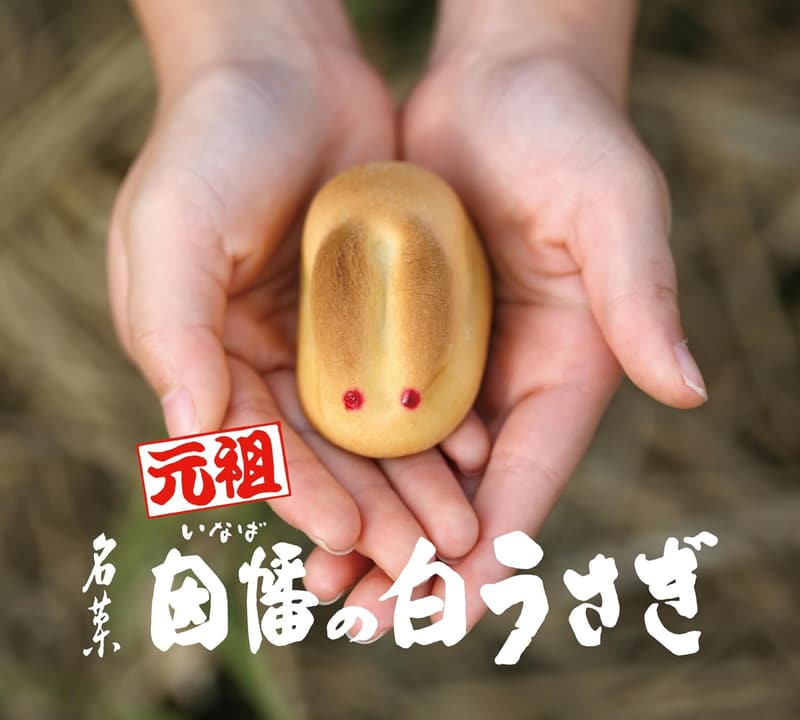 退職・送別のための因幡の白うさぎまんじゅう (8個入×2箱)
