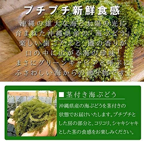沖縄県産 海ぶどう (茎付き) 塩水漬け 50g×2袋 おつまみ
