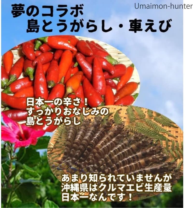 島とうがらしえびせんべい（大）