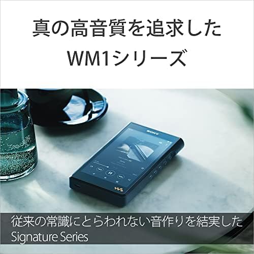 ソニー ウォークマン NW-WM1AM2 128GB アンドロイド/DSD 11.2MHzネイティブ再生対応