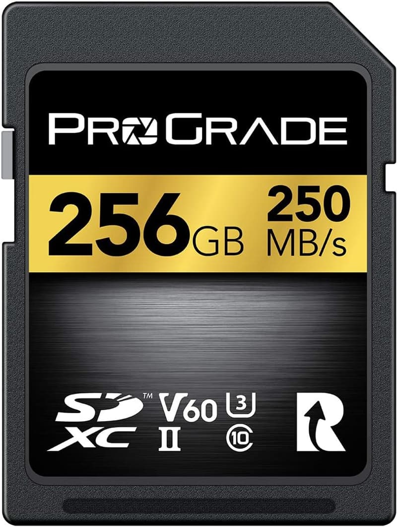 256GB ProGrade Digital SDXC UHS-II V60 メモリーカード【Amazon.co.jp限定】