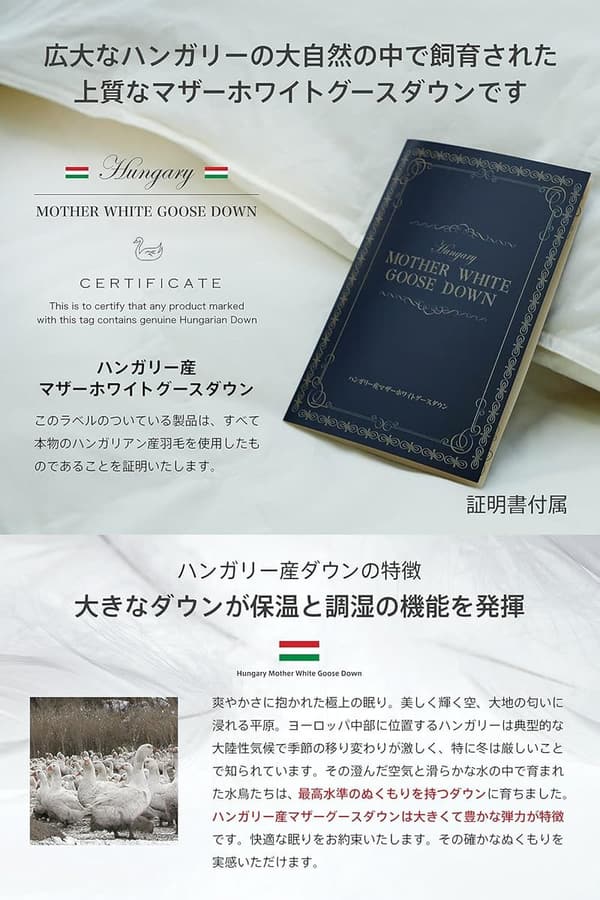 ハンガリー産マザーグースダウン95%使用 二層立体ツインキルトダブル羽毛掛け布団 日本製