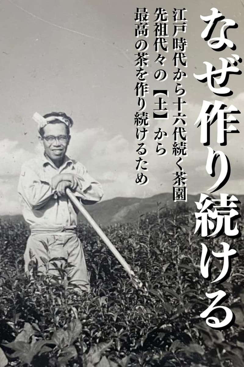 宇治茶 玉露茶葉 80g - 丸利吉田銘茶園の高品質緑茶