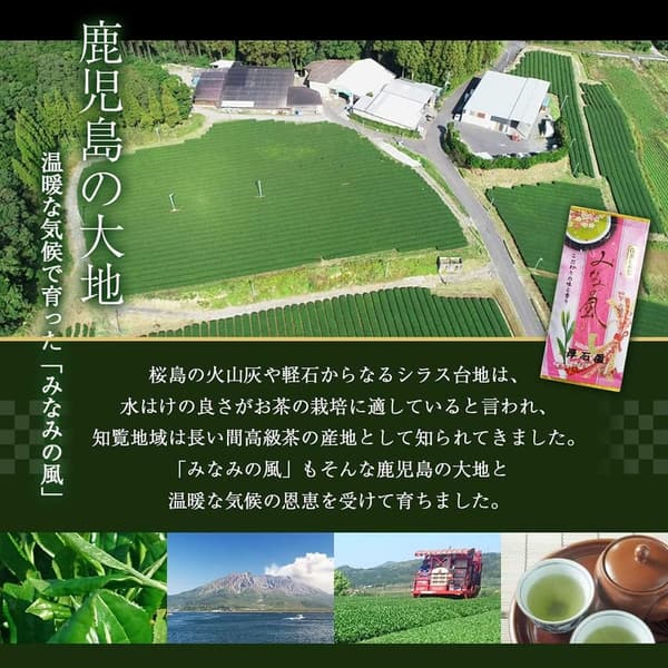 農薬不使用自家製肥料栽培 知覧深蒸し高級煎茶 みなみの風 100g