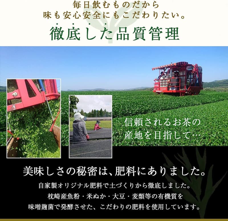 農薬不使用自家製肥料栽培 知覧深蒸し高級煎茶 みなみの風 100g