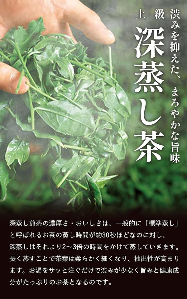 上級深蒸し緑茶ティーバッグ（竹の匠）20袋入 - 宇治田原製茶場