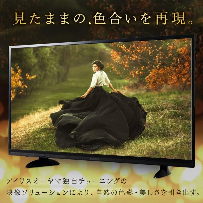 40V型 フルハイビジョン液晶テレビ LT-40A420 外付HDD対応 40インチ アイリスオーヤマ