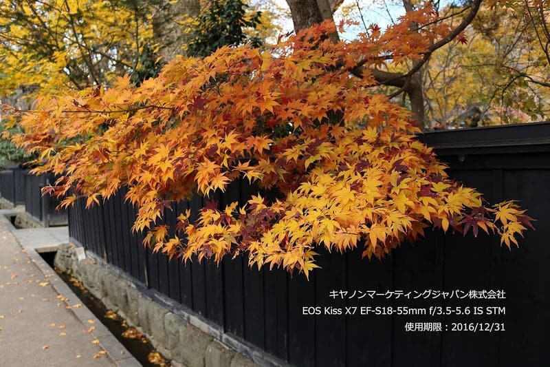 Canon デジタル一眼レフカメラ EOS Kiss X7 レンズキット EF-S18-55mm F3.5-5.6 IS STM