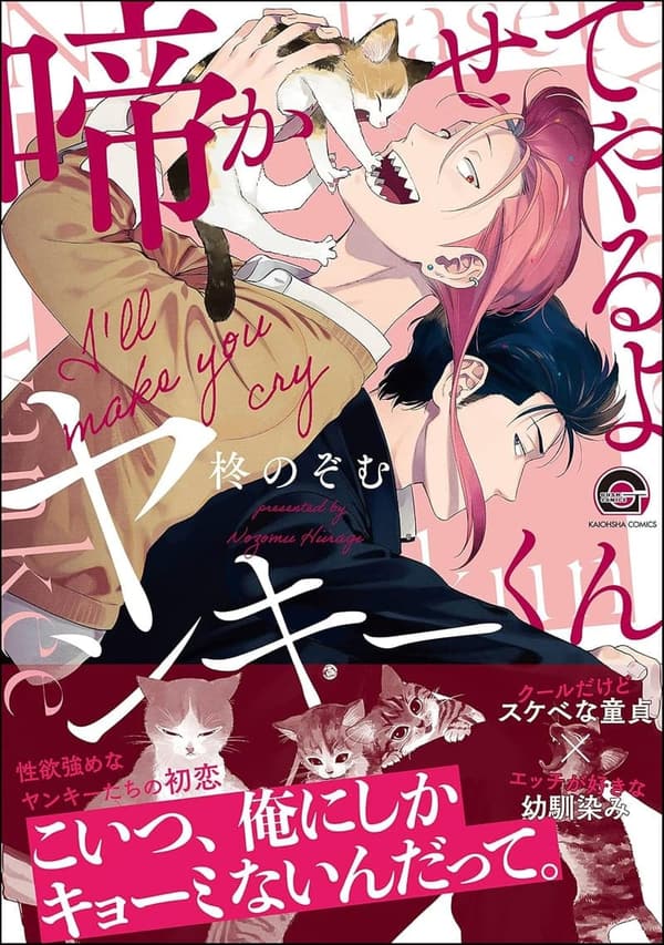 「ヤンキーくんの啼かせてやるよ【電子限定漫画付】」