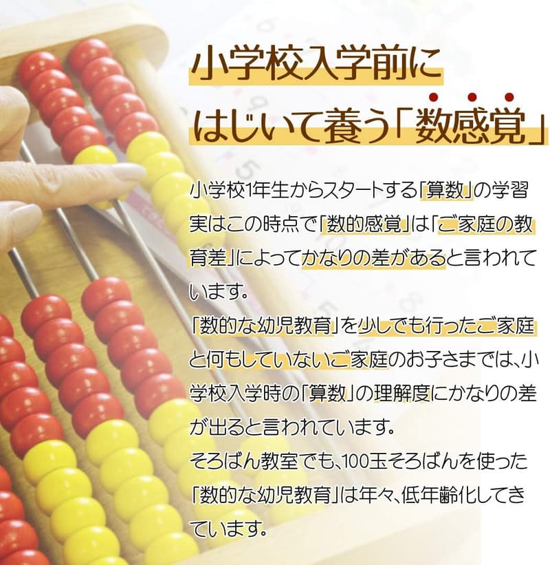 児童用100玉そろばん トモエ アバカス100 公式認定品