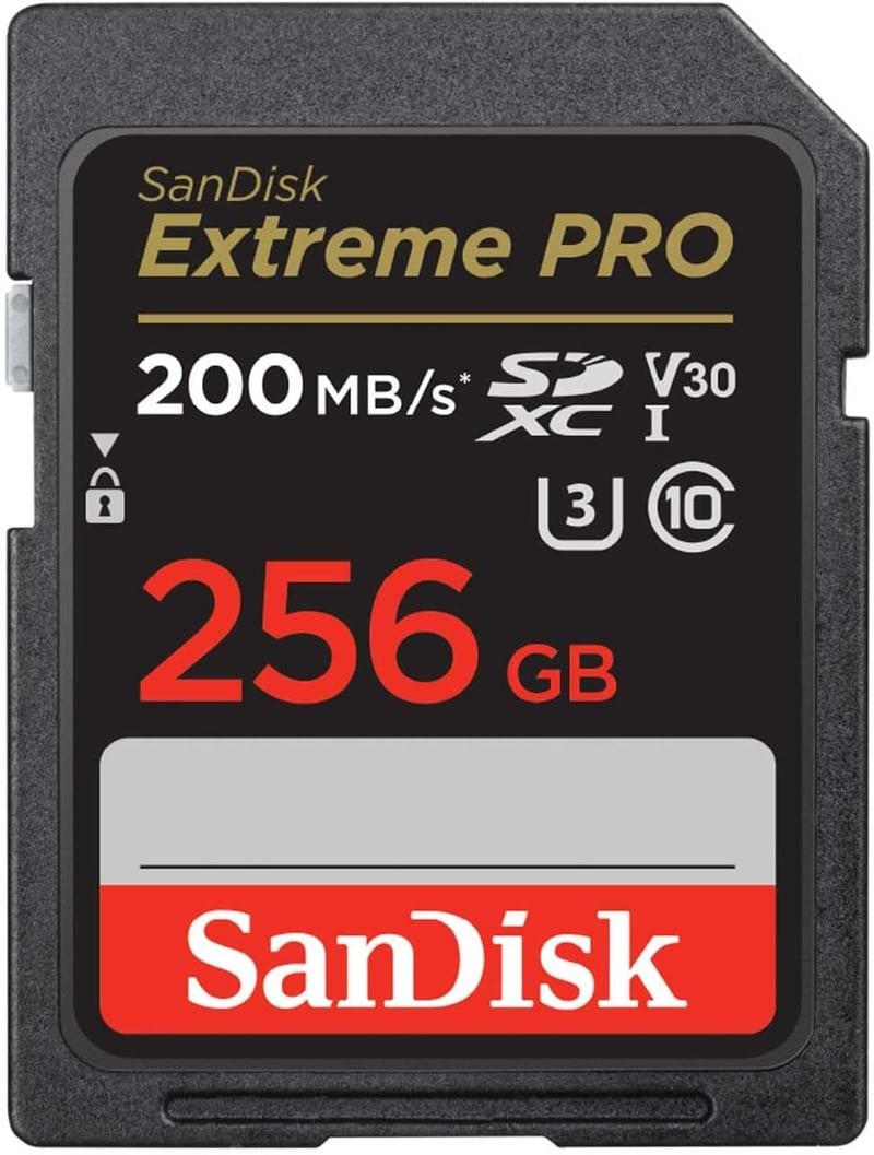サンディスク 256GB SDXCカード Class10 UHS-I V30 最大読取200MB/s
