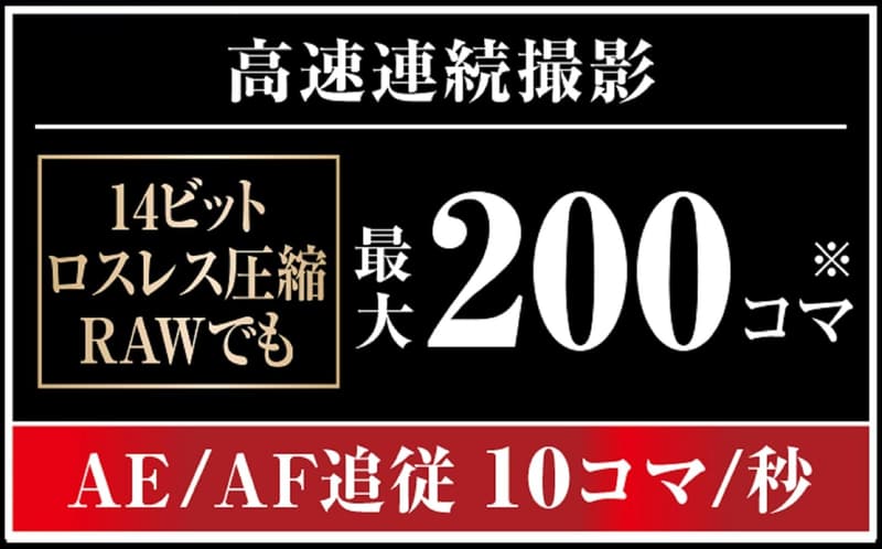 Nikon デジタル一眼レフカメラ D500 ボディ