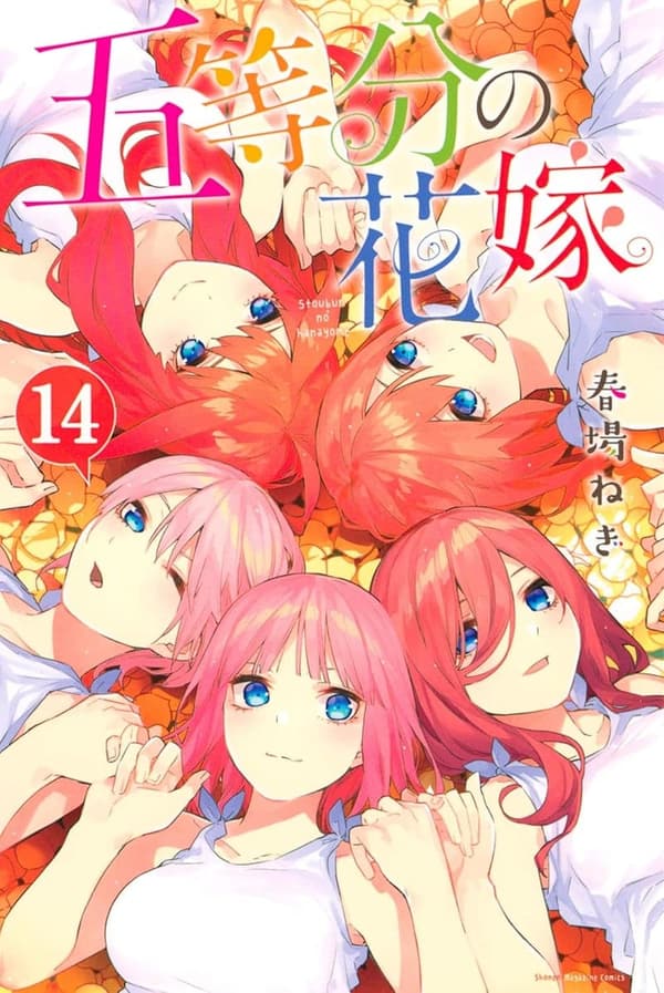 五等分の花嫁(14) 週刊少年マガジンコミックス