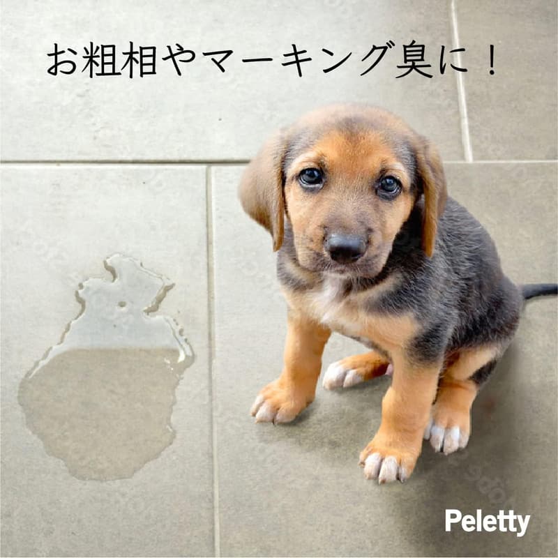 ペット用消臭・除菌スプレー（500ml）獣医師推奨