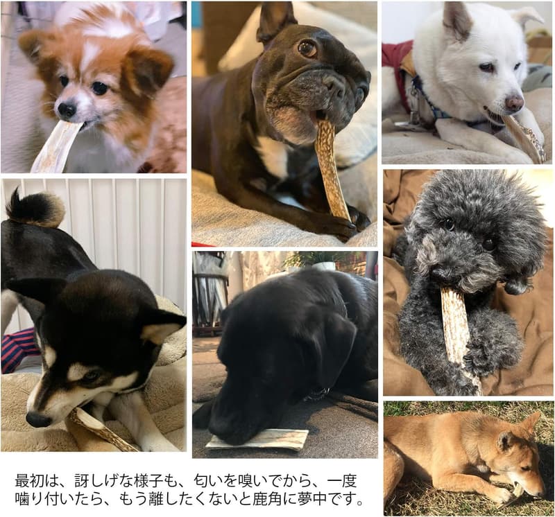 国産エゾジカの鹿角デンタルケアおもちゃ（小型犬用・無添加・10cm半割り）