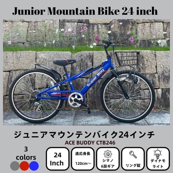 子ども用24インチマウンテンバイク シマノ6段変速 ACE BUDDY