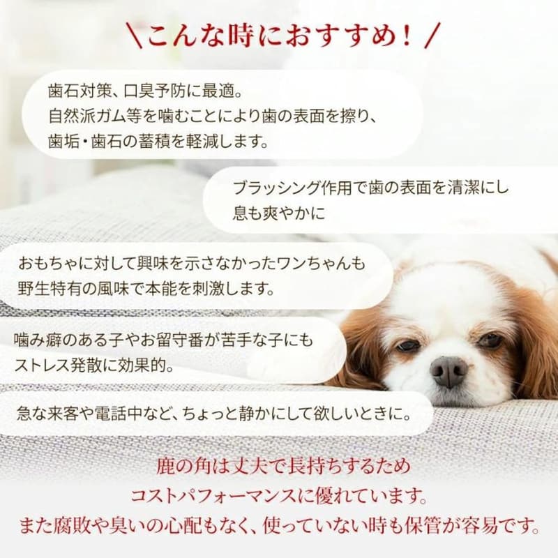 スーパー小型犬用鹿の角噛むおもちゃ（Sサイズ）