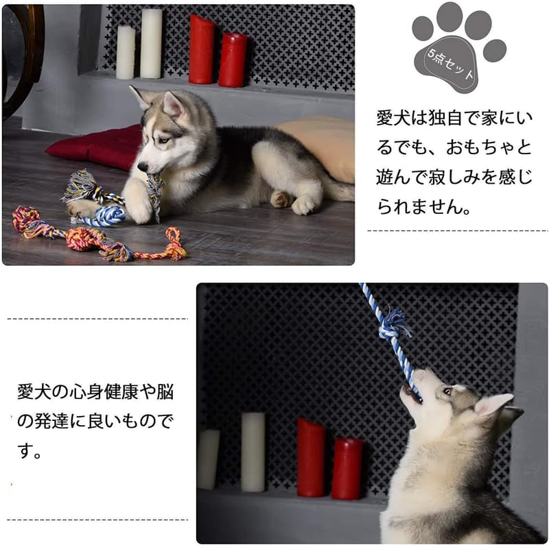 犬用コットンロープおもちゃセット（5個入り）小・中型犬向け 噛むストレス解消用