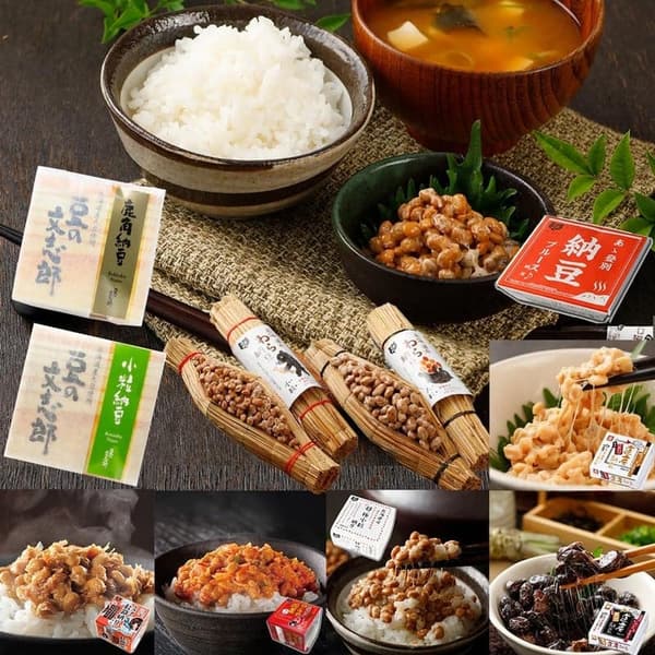 くま納豆 10種食べ比べセット ギフト用