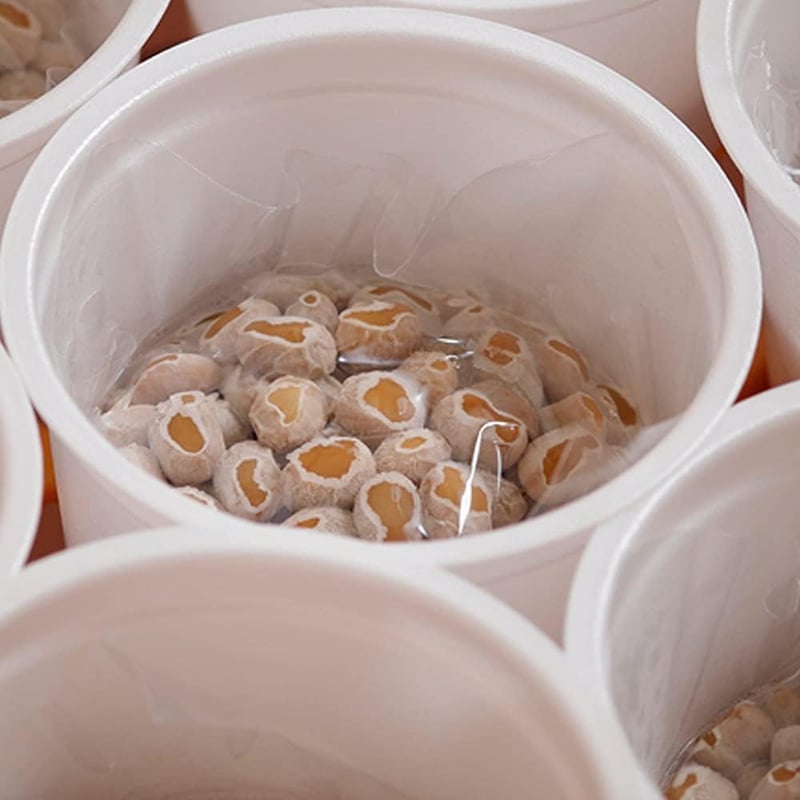 北海道産大豆使用 業務用カップ納豆 40g×100個 冷凍保存可 たれ付