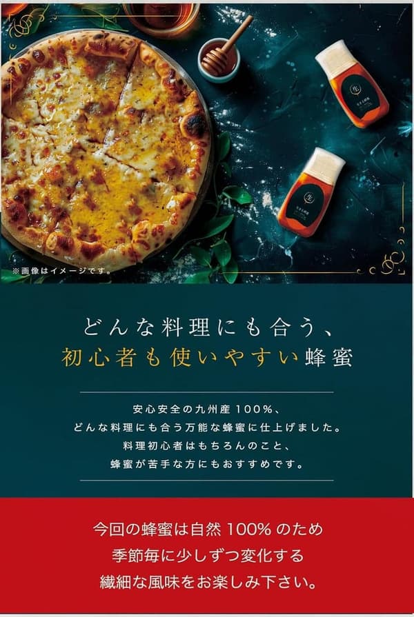 国産純粋非加熱生蜂蜜 500g【九州蜂の子本舗】無添加天然砂糖不使用