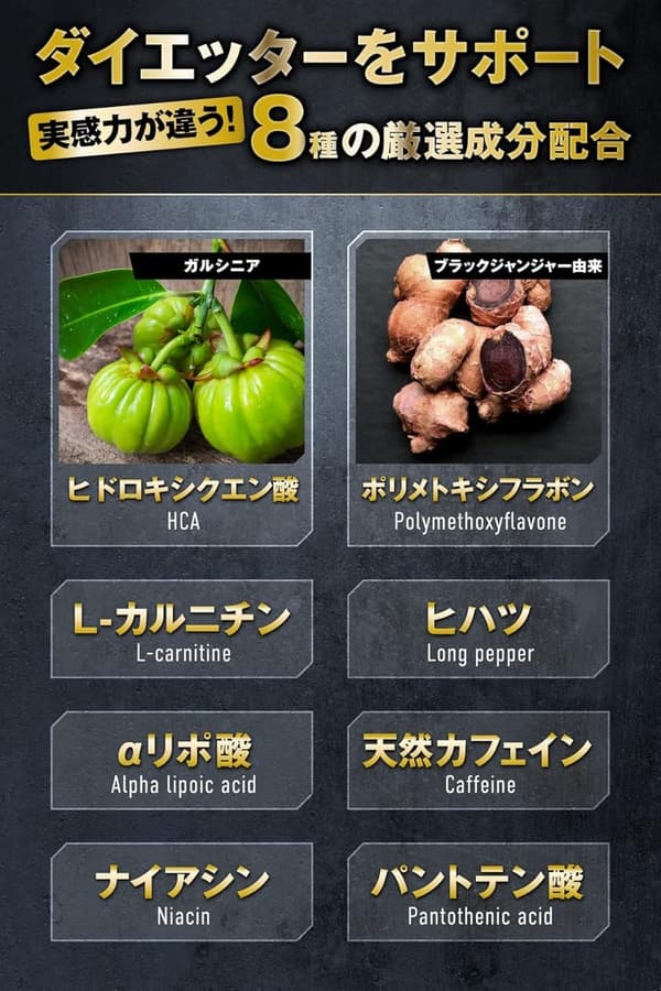 プレミアムバーナー 120粒（約30回分） 山澤礼明監修 8種成分配合