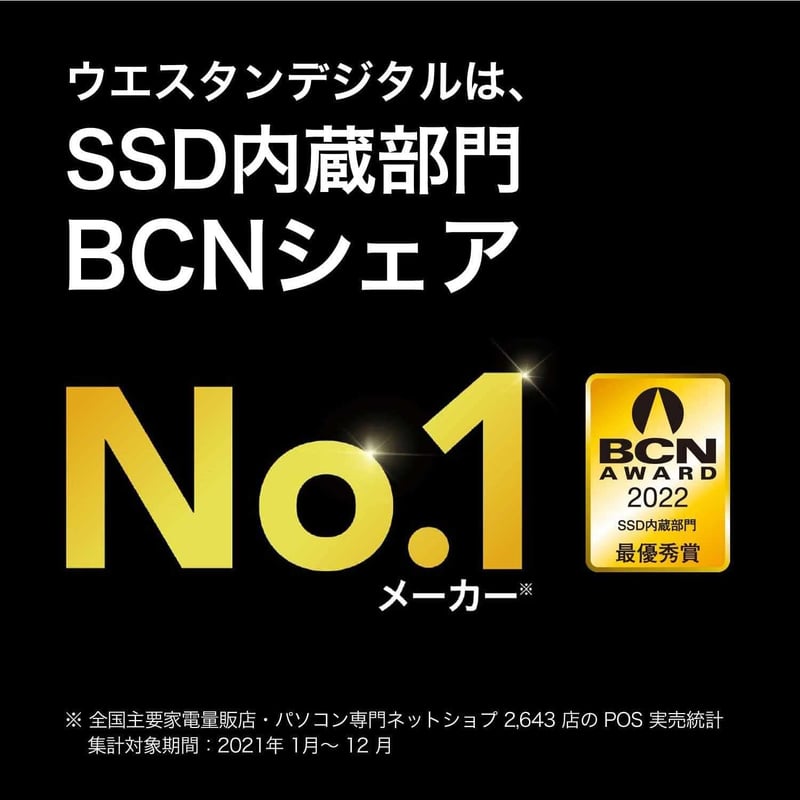 WD Blue 500GB SATA SSD 内蔵タイプ (最大読取560MB/s・最大書込510MB/s)