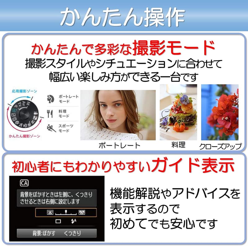 Canon デジタル一眼レフカメラ EOS Kiss X90 標準ズームキット