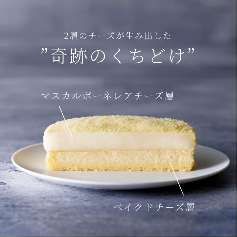 北海道 チーズケーキ ドゥーブルフロマージュ＆ショコラドゥーブル ギフトボックス