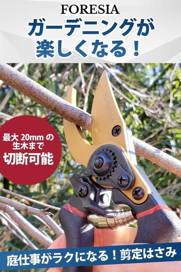剪定ばさみ フッ素コーティング 2段階調節可能握りやすい (金 + 黒色)