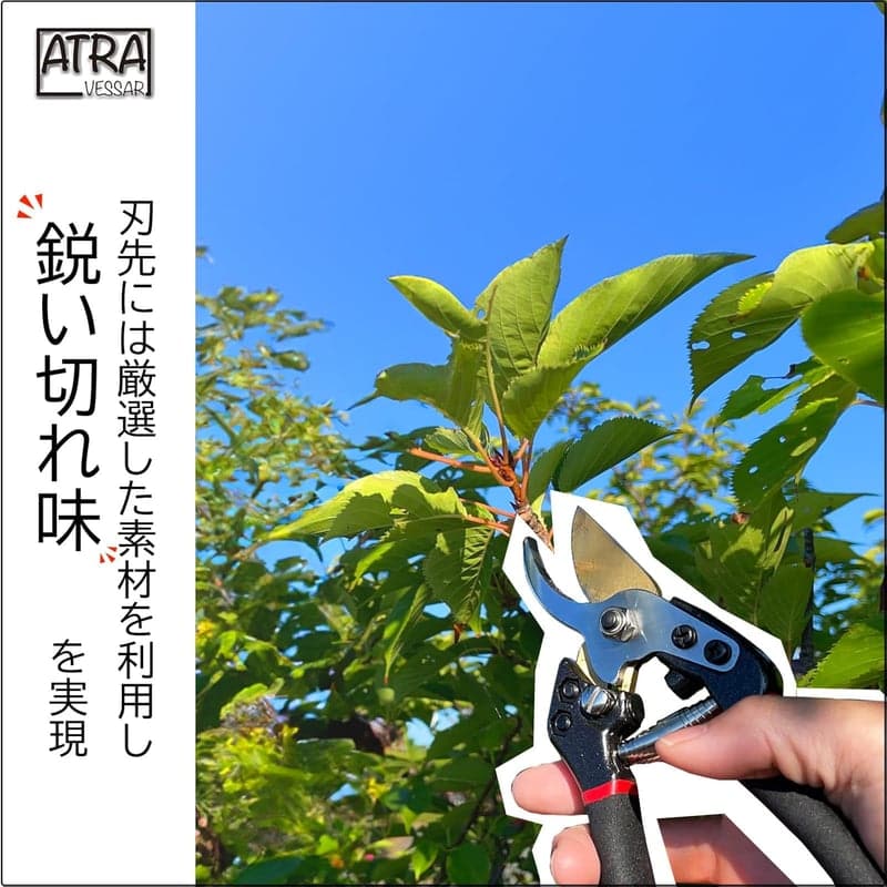 プロ監修 鋭い切れ味の剪定バサミ（高耐久性クロム加工・黒色）