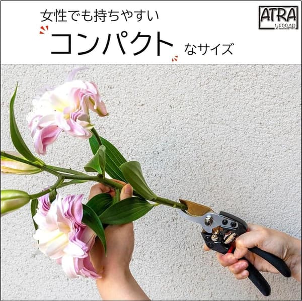 プロ監修 鋭い切れ味の剪定バサミ（高耐久性クロム加工・黒色）