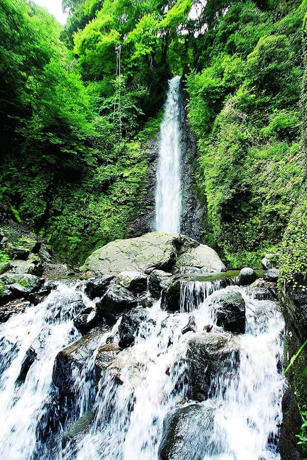 日本三大銘水 養老の菊水泉 ミネラルウォーター 29リットル