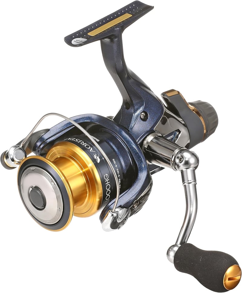 13周年記念 シマノ(SHIMANO) アオリスタ BB リール 2500/C3000HG/4000