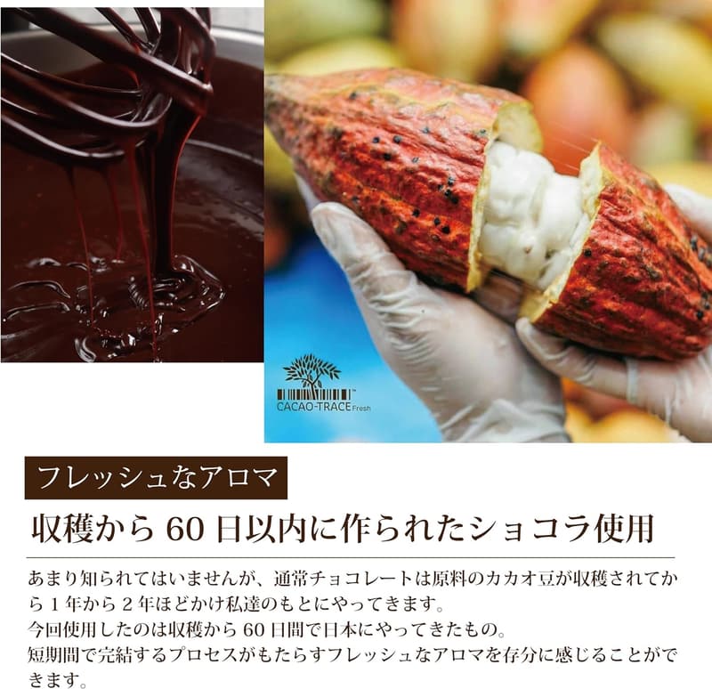 バレンタインギフト 高級ガトーショコラ テリーヌショコラ スイーツ