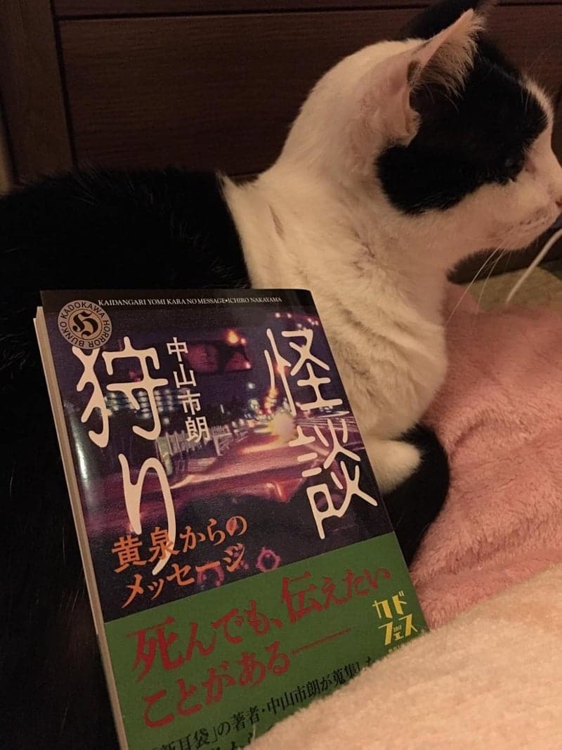 黄泉からのメッセージ - 怪談狩り (角川ホラー文庫)