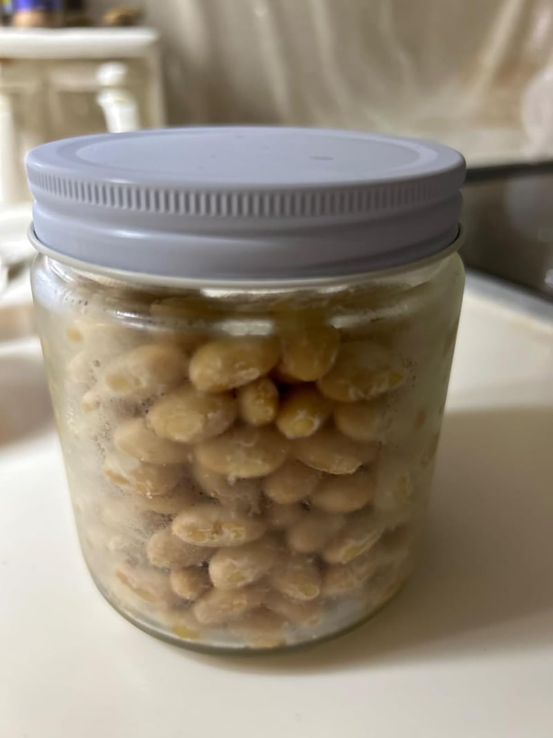 納豆菌 粉末納豆素 3g - 詳細な納豆作りガイド付き