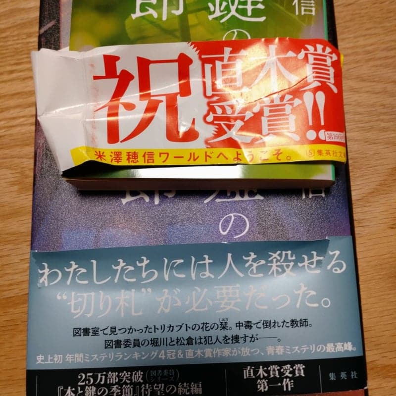 栞と嘘の季節 (集英社文庫)