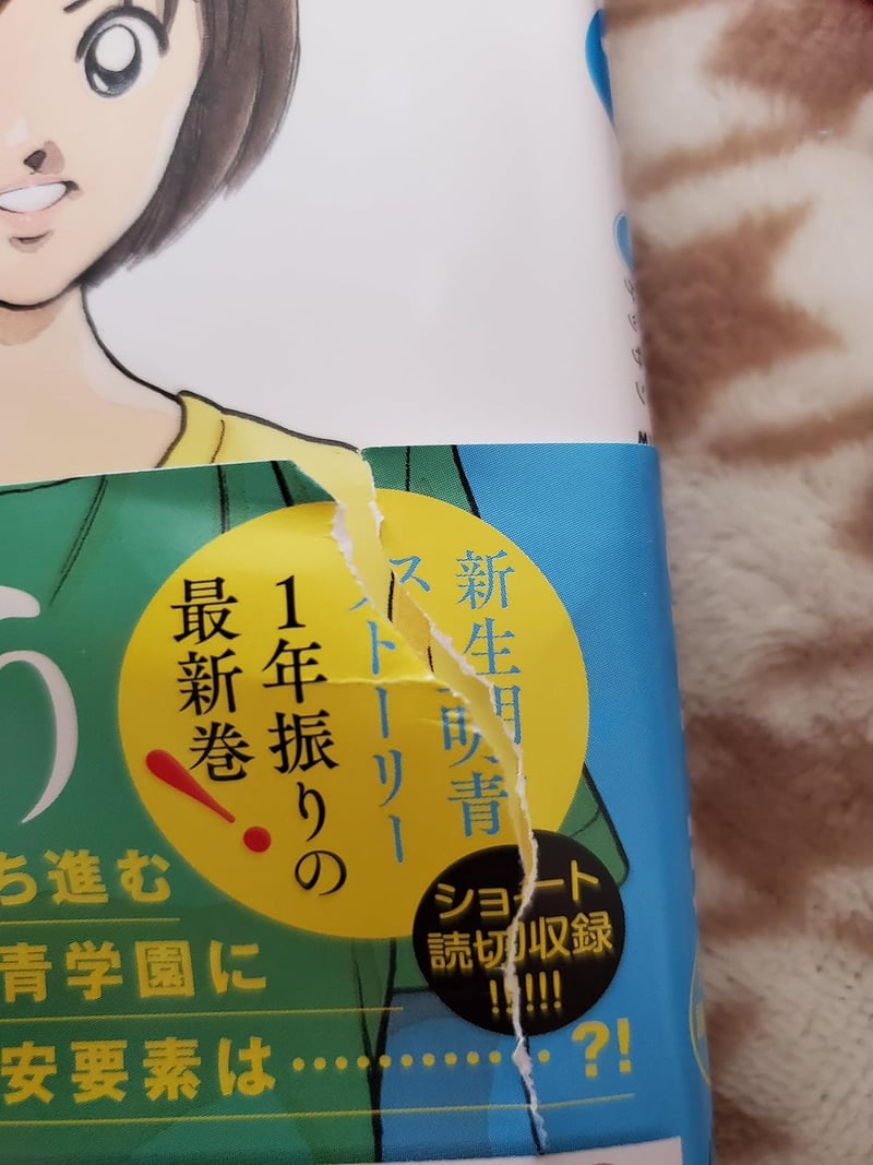 ゲッサン少年サンデーコミックス MIX（17巻）